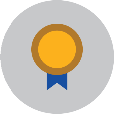 Competitive Advantage Icon