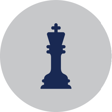 Overall Strategy Icon