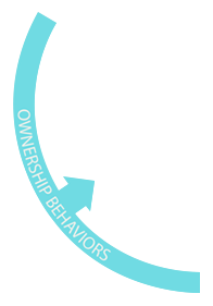 ownership behaviours